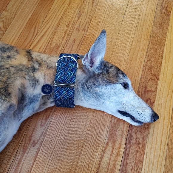 Meet your Posher, Dana - Picture 6 of 10